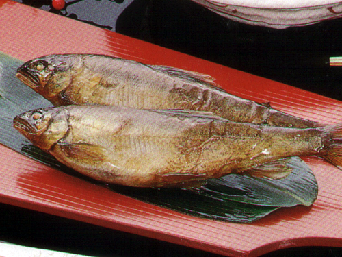 鮎の甘露煮　笹あゆ　笹鮎